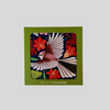 Catherine Marion Single Coaster