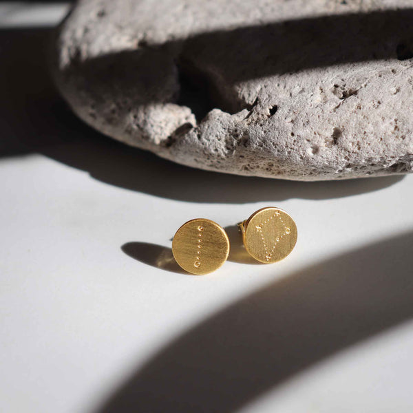 Māhutonga/Southern Cross and Pointers Stud Earrings