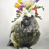 Kea and Freisia Art Print